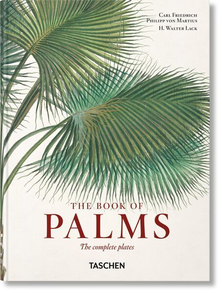 Martius. The Book of Palms. 45th Ed. | valge, image 1 of 5