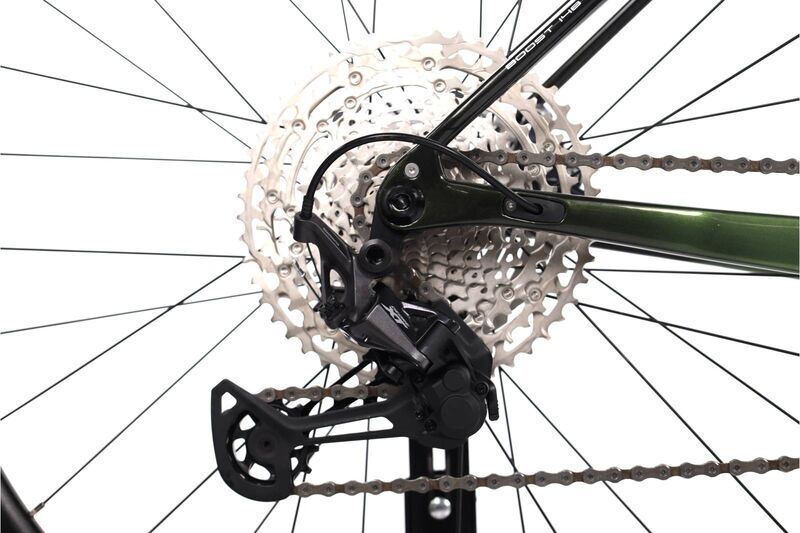 Massi Pro Performance (2024) | Diamant | grün | 29" | M 5