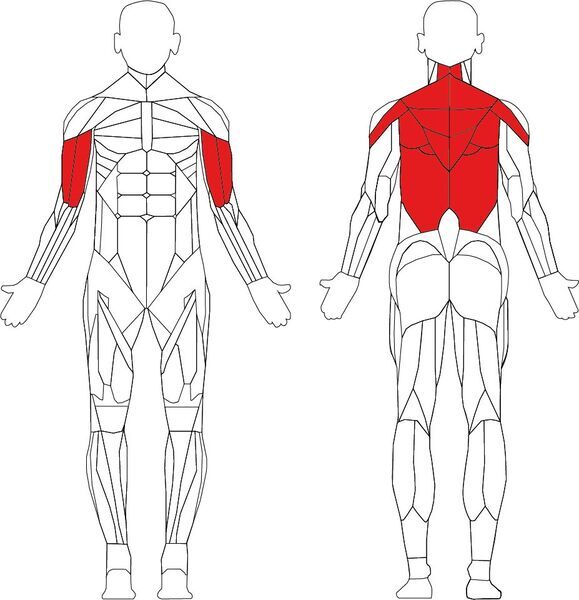 Matrix Aura Series G3 Diverging Seated Row | czarny/szary, image 3 of 3