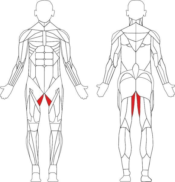 Matrix Aura Series G3 Hip Adductor | črna/siva, image 2 of 3