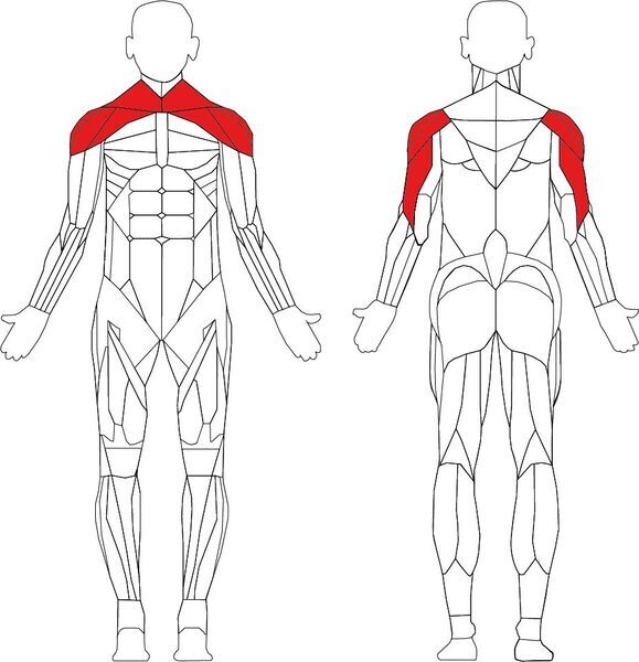 Matrix Aura Series G3 Lateral Raise | Negro/gris, image 3 of 3