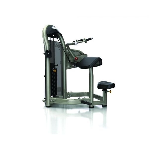 Matrix Aura Series G3 Triceps Extension | črna/siva, image 2 of 3