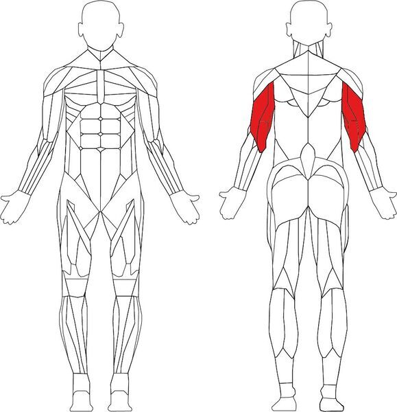 Matrix Aura Series G3 Triceps Press | črna/srebrna, image 3 of 3