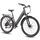 Maxtron Lira 2026 | grey | 28" | L | < 500 km, thumbnail 3 of 4