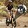 MAXTURN Literider 2.0 black | Overstock | black | 20" | unisize | < 500 km, thumbnail 1 of 4