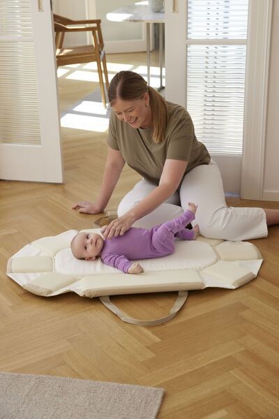 Membantu Carrycot | beige, image 1 of 3