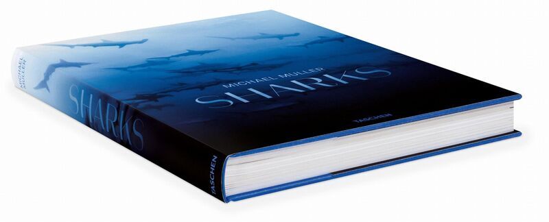 Michael Muller. Sharks | Weiß, image 1 of 4