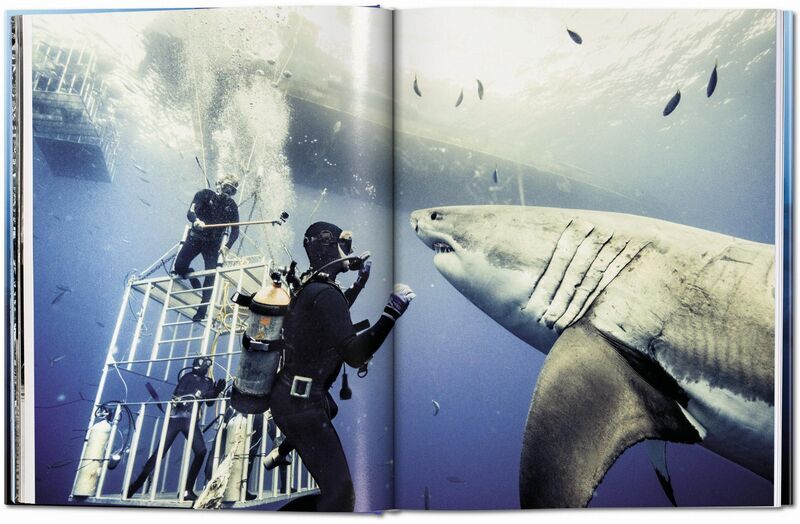 Michael Muller. Sharks | Weiß, image 2 of 4