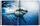 Michael Muller. Sharks | Weiß, thumbnail 3 of 4
