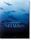 Michael Muller. Sharks | hvid, thumbnail 1 of 5