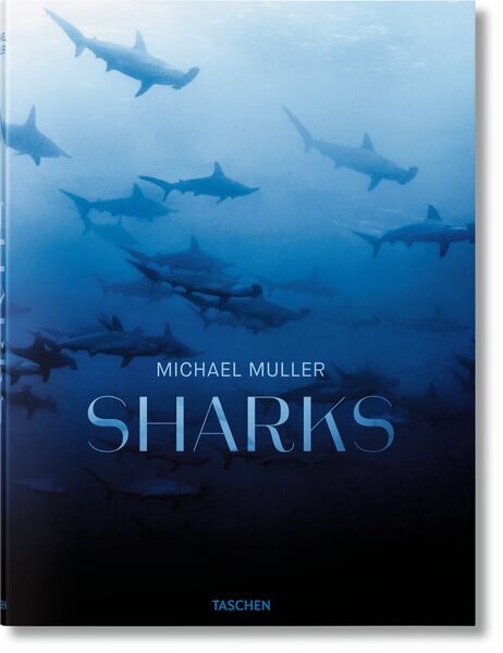 Michael Muller. Sharks | hvid, image 1 of 5