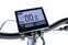Moma Bikes E-Fat 20 Pro | grijs/zwart | 20" | < 100 km thumbnail 2/5