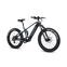 Moma Bikes E-Fat 26 Pro | Diamant | grau/schwarz | 26" | < 100 km thumbnail 1/5