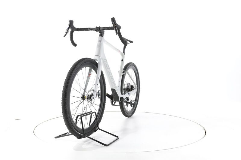 Mondraker Arid Carbon RR 2025 | white | 28" | XL 4
