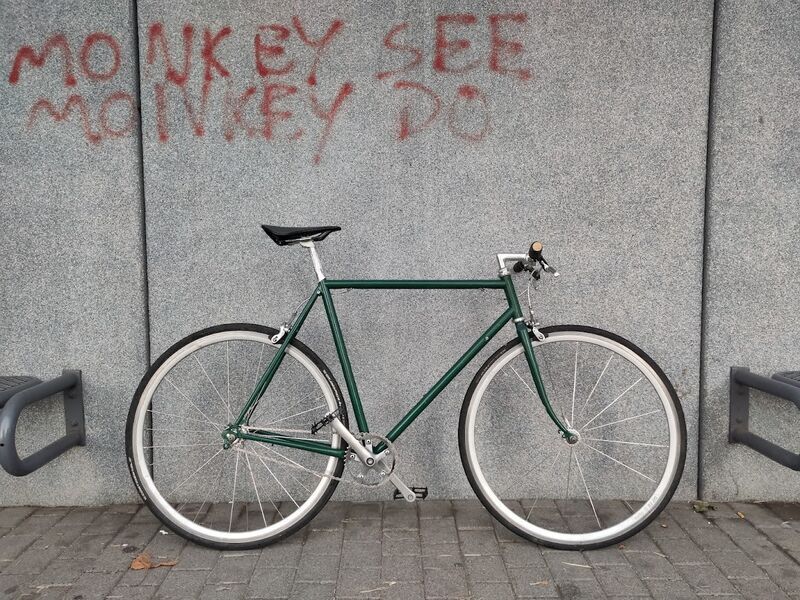 Mosch Bikes Singlespeed Bike SAYA Comp (UPCYCLED) | Diamant | Leinölfarbe moosgrün | 28" | L 1