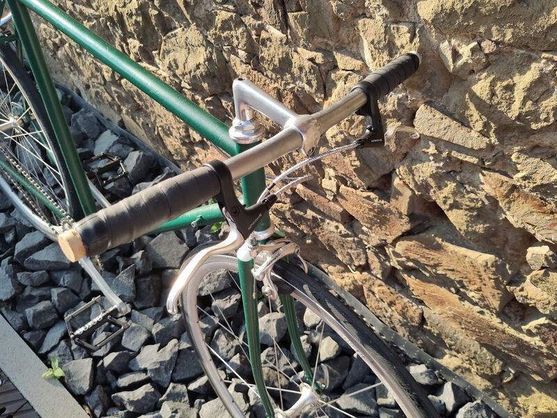 Mosch Bikes Singlespeed Bike SAYA Comp (UPCYCLED) | Diamant | Leinölfarbe moosgrün | 28" | L 3