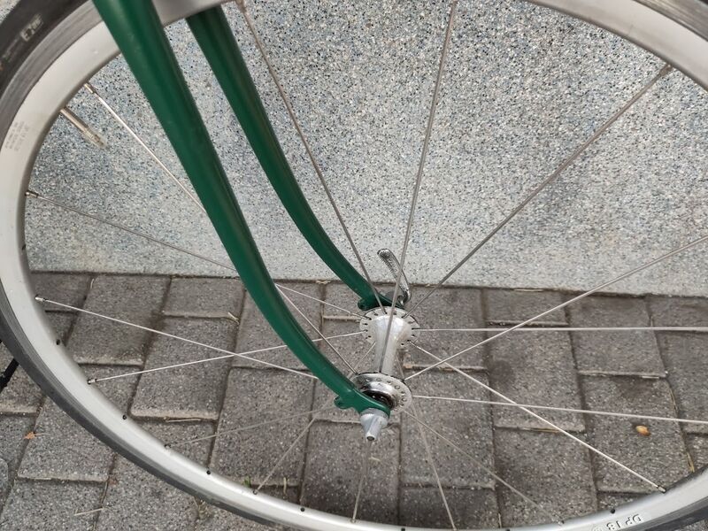 Mosch Bikes Singlespeed Bike SAYA Comp (UPCYCLED) | Diamant | Leinölfarbe moosgrün | 28" | L 5