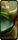Motorola Moto G15 | 4 GB | 128 GB | Dual-SIM | Iguana Green, thumbnail 2 of 4
