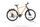 My Esel electric mountain bike Esel 2023 | beige | 29" | L | 500 - 3000 km, thumbnail 1 of 5