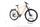 My Esel electric mountain bike Esel 2023 | beige | 29" | L | 500 - 3000 km, thumbnail 2 of 5