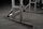 New Fitness SR990 Fox Line Adjustable Squat- und Bench Rack | schwarz thumbnail 5/5