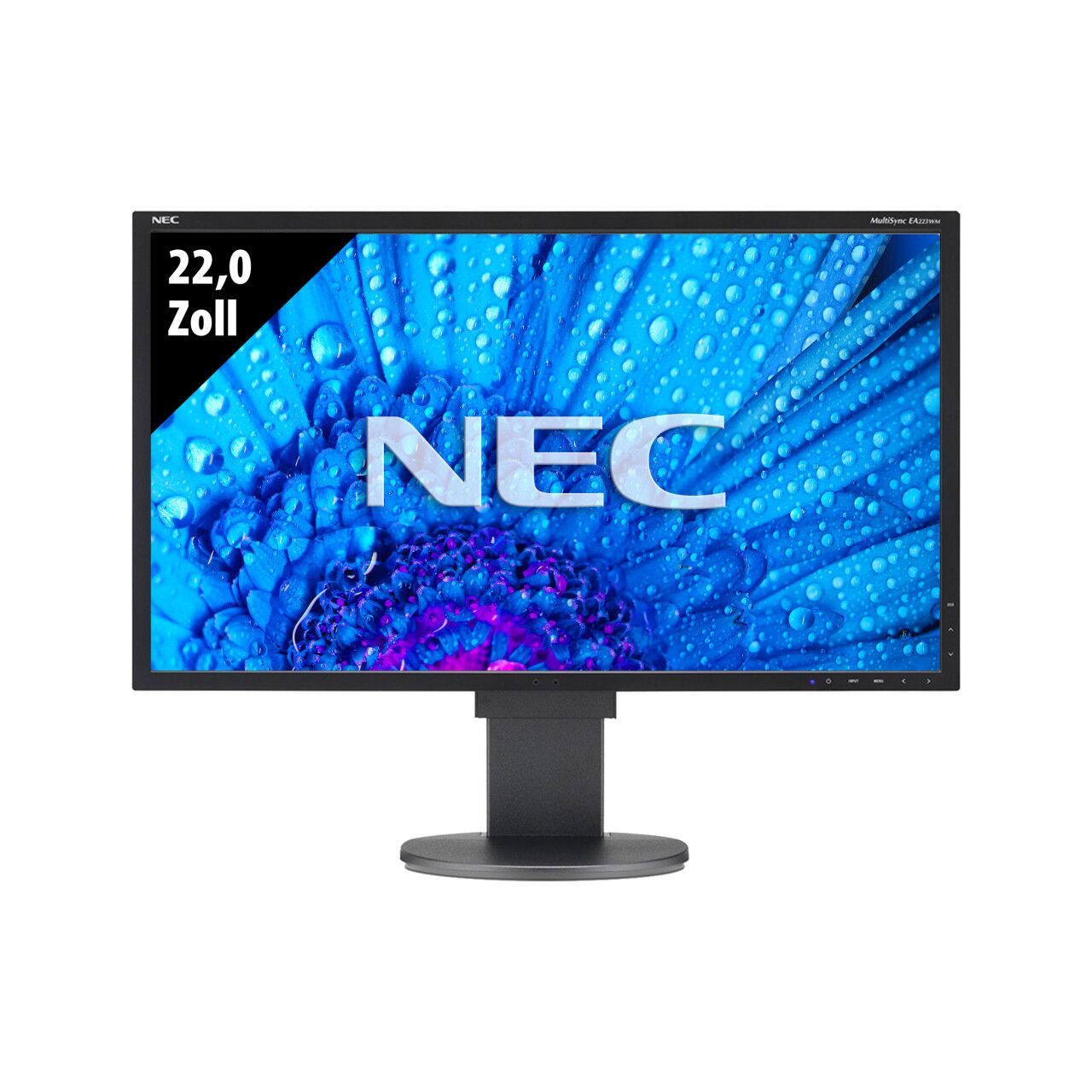 NEC MultiSync EA223WM 22" Schwarz