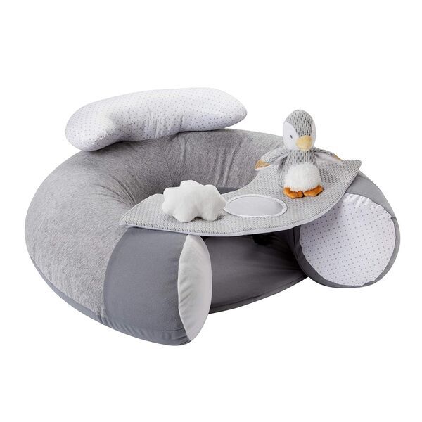 Nuby Penguin Sit-Me-Up Babyschale | gris 1