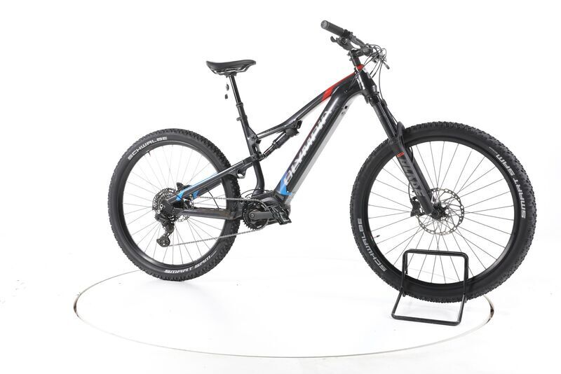 Olympia EX900 Trail 2023 | black | 29" | L | > 3000 km, image 2 of 5