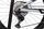 Orbea Rise H20 (2022) | Diamante | grigio | 29" | L | 1500 - 2000 km thumbnail 5/5