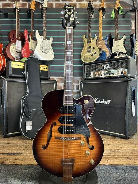 Peerless Wizard Standard Sunburst 2009 Hollow-Body Electric Guitar | sunburst, image 1 of 5