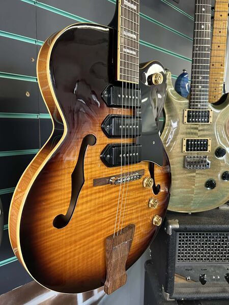 Peerless Wizard Standard Sunburst 2009 Hollow-Body Electric Guitar | sunburst, image 3 of 5