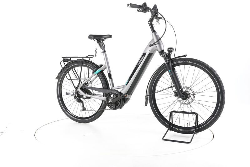 Pegasus EVO CX 2023 | silver | 28" | 55 cm | 500 - 3000 km, image 1 of 4
