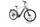 Pegasus EVO CX 2023 | grey | 28" | 55 cm | 500 - 3000 km, thumbnail 1 of 4