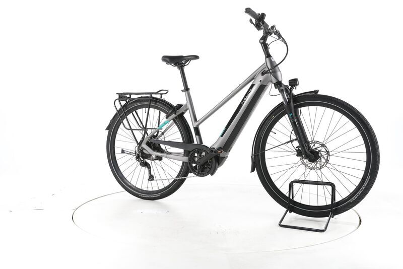 Pegasus EVO CX 2023 | grey | 28" | 50 cm | 500 - 3000 km, image 1 of 4