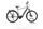 Pegasus Evo CX 750 2022 | prateado | 28" | 55 cm | < 500 km, thumbnail 1 of 5