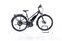 Pegasus Lavida Plus 30 (2019) | Trapez | schwarz matt | 28" | 45 cm | 2000 - 3000 km thumbnail 1/5