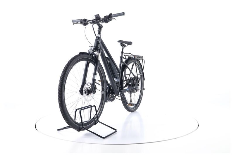 Pegasus Lavida Plus 30 (2019) | Trapez | schwarz matt | 28" | 45 cm | 2000 - 3000 km 4