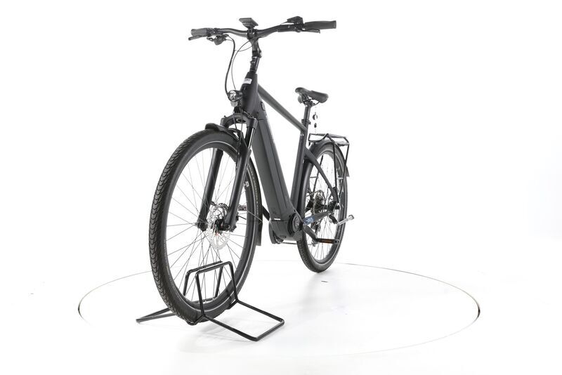 Pegasus Premio Evo 10 2023 | black | 28" | 55 cm | 500 - 3000 km, image 4 of 4