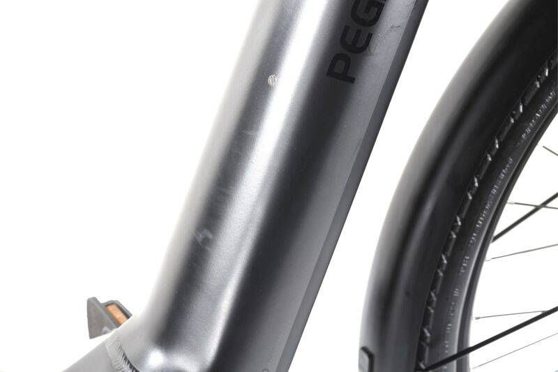 Pegasus Premio Evo 10 ABS (2023) | Tiefeinsteiger | grau | 28" | 50 cm | 2000 - 3000 km 3