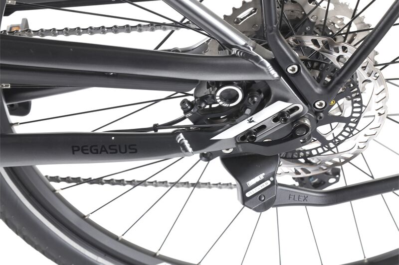 Pegasus Premio Evo 10 ABS (2023) | Tiefeinsteiger | grau | 28" | 50 cm | 2000 - 3000 km 4