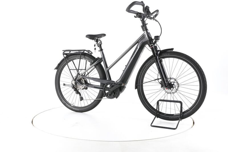 Pegasus Premio EVO 10 Lite 2021 | black | 28" | 50 cm | > 3000 km, image 2 of 5