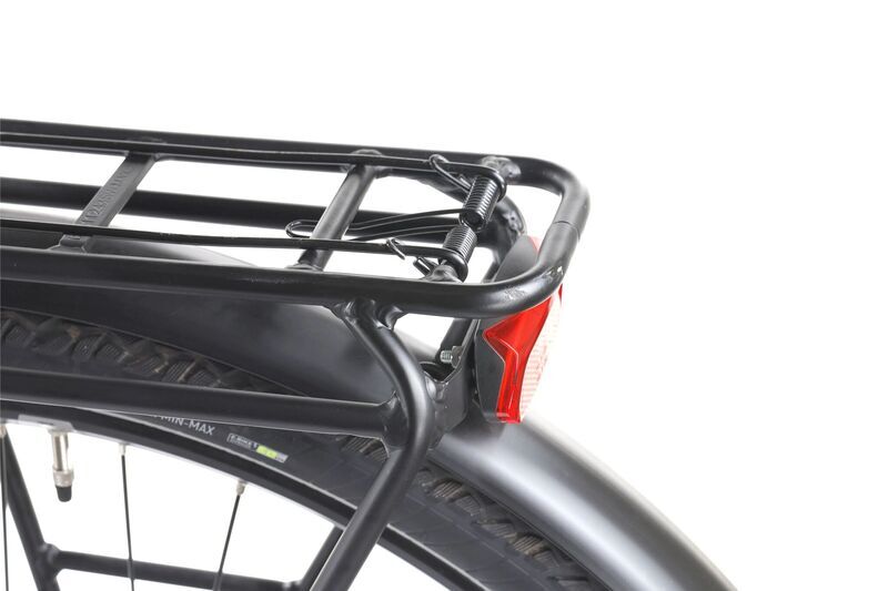 Pegasus Premio EVO 10 Lite (2022) | Tiefeinsteiger | grau | 28" | 45 cm | 500 - 3000 km | 625 Wh, image 5 of 5