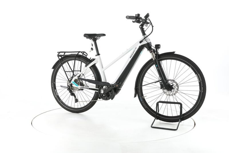 Pegasus Premio EVO 10 Lite 2022 | white | 28" | 45 cm | 500 - 3000 km, image 1 of 4