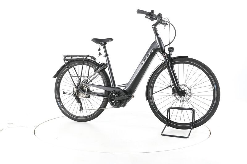 Pegasus Premio EVO 10 Lite 2022 | black | 28" | 50 cm | 500 - 3000 km, image 1 of 4