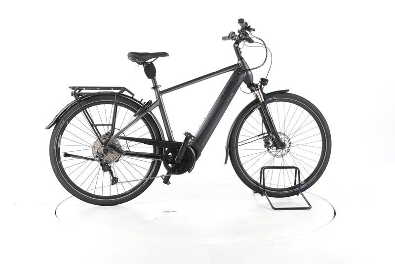 Pegasus Premio Evo 10 Lite 2022 | grey | 28" | 50 cm | 500 - 3000 km, image 1 of 5