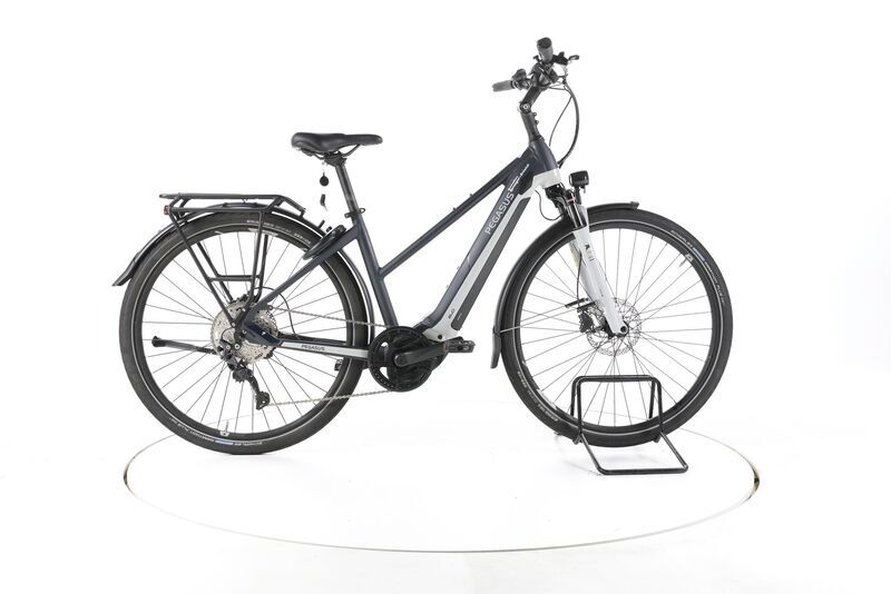 Pegasus Premio Evo 10 Lite 2022 | šedá | 28" | 45 cm | 500 - 3000 km, image 1 of 5