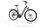 Pegasus Premio Evo 10 Lite 2022 | grey | 28" | 55 cm | < 500 km, thumbnail 2 of 5