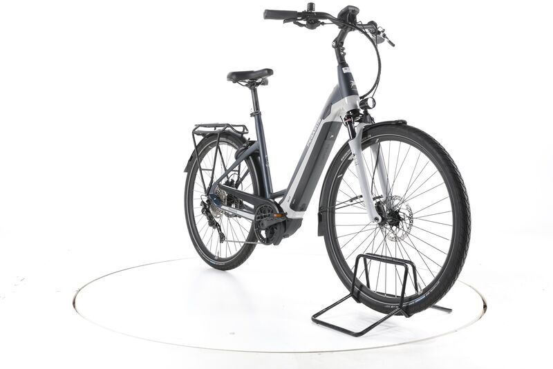 Pegasus Premio Evo 10 Lite 2022 | grey | 28" | 55 cm | < 500 km, image 3 of 5