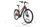 Pegasus Premio Evo 10 Lite 2022 | rojo | 28" | 50 cm | 500 - 3000 km, thumbnail 3 of 5