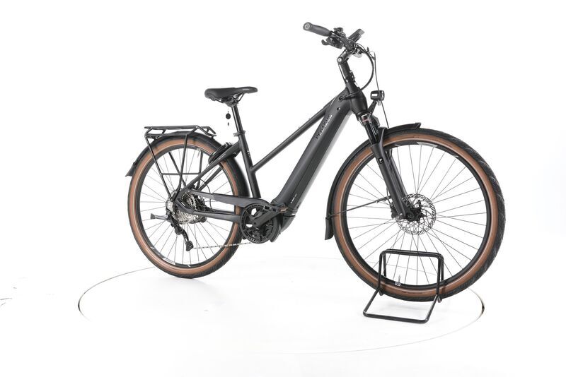 Pegasus Premio EVO 10 Lite 2023 | black | 28" | 45 cm | < 500 km, image 1 of 4